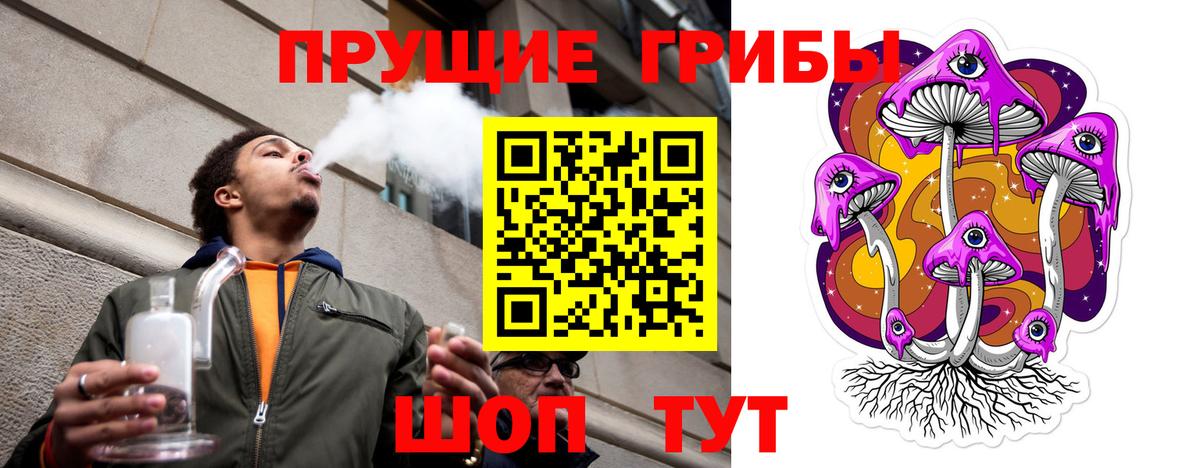 Галлюциногенные грибы Cubensis Нефтекумск